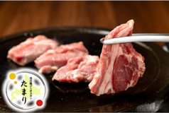 溶岩焼ジンギスカン たまり