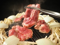 成吉思汗 カムイ