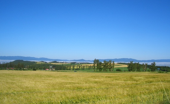 富良野ジンギスカン ひつじの丘本店